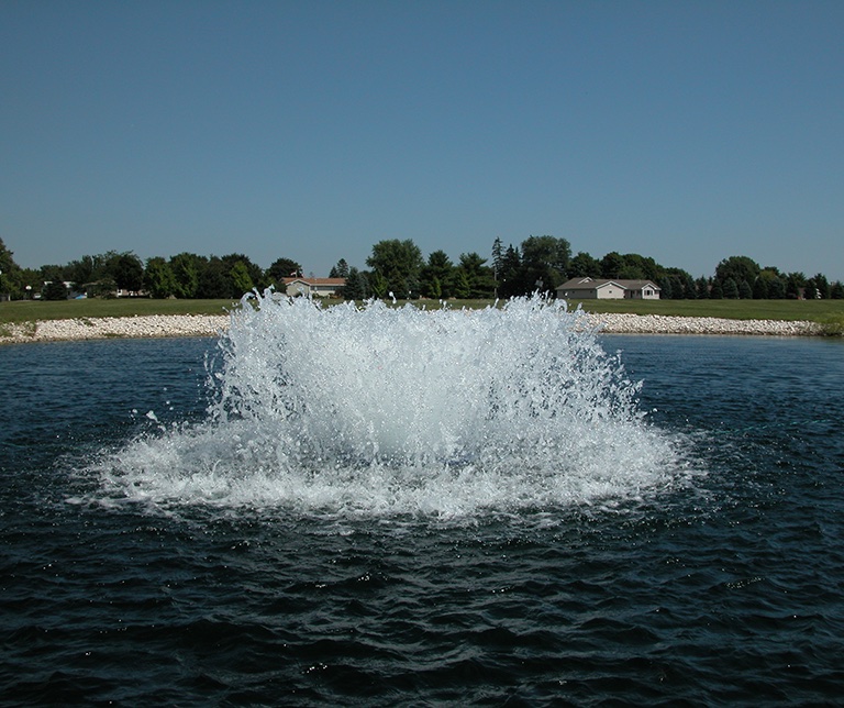 Lake Restoration Twin Cities